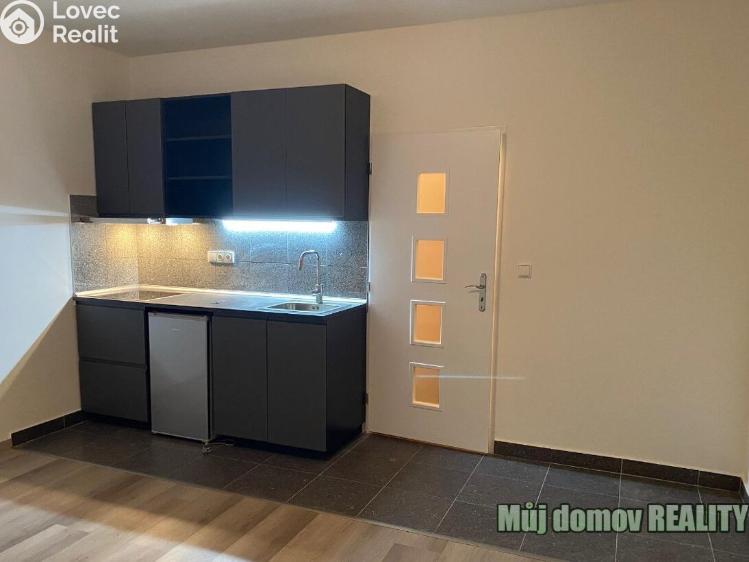 Pronájem bytu 1+KK Praha, Freyova 235/7 č. 1