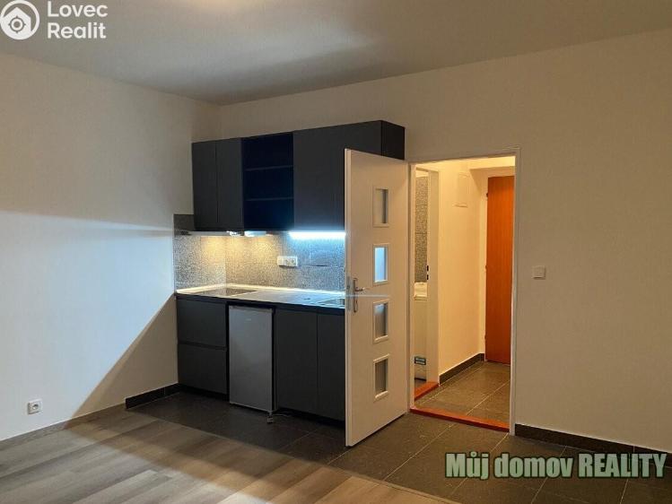 Pronájem bytu 1+KK Praha, Freyova 235/7 č. 2