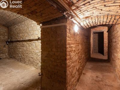 Продажа торгового помещеня Praha, Zenklova č. 8