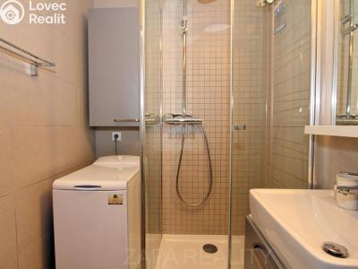 Rent apartment 4+KK Praha, Bělčická č. 13
