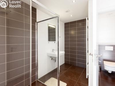 Продажа квартиры 2+KK Praha, Novákových č. 11