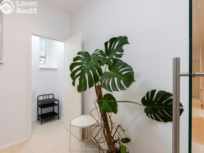 Продажа квартиры 4+1 Praha, Londýnská č. 19
