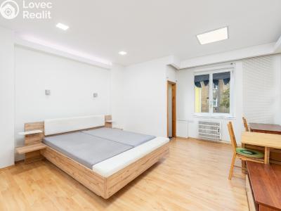 Sale apartment 1+1 Praha, Kotlaska č. 1