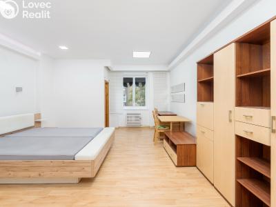 Sale apartment 1+1 Praha, Kotlaska č. 4