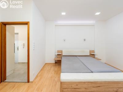 Sale apartment 1+1 Praha, Kotlaska č. 5