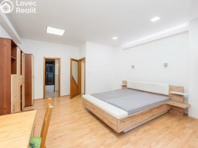 Продажа квартиры 1+1 Praha, Kotlaska č. 8