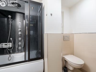 Продажа квартиры 1+1 Praha, Kotlaska č. 9