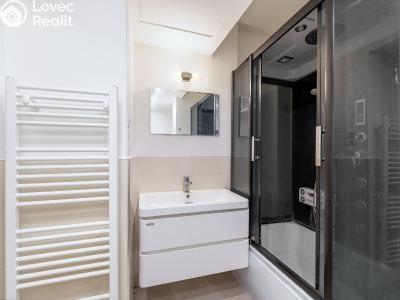 Продажа квартиры 1+1 Praha, Kotlaska č. 10