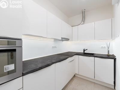 Продажа квартиры 1+1 Praha, Kotlaska č. 11