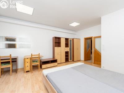 Продажа квартиры 1+1 Praha, Kotlaska č. 15