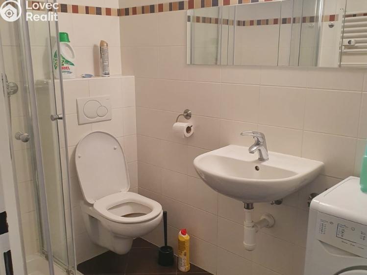 Pronájem bytu 1+KK Praha, Újezd č. 10