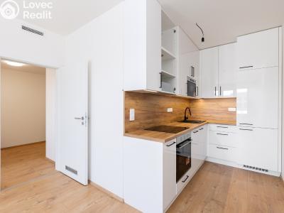 Pronájem bytu 2+KK Praha, U hostivařského nádraží č. 1