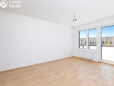 Pronájem bytu 2+KK Praha, U hostivařského nádraží č. 5