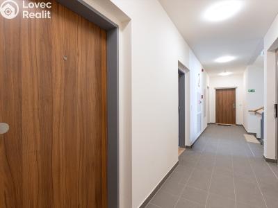 Rent apartment 2+KK Praha, U hostivařského nádraží č. 20
