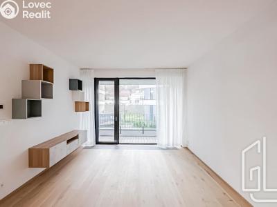 Rent apartment 2+KK Praha, Na dračkách č. 10