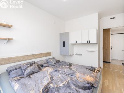 Rent apartment 2+KK Praha, Univerzitní č. 11