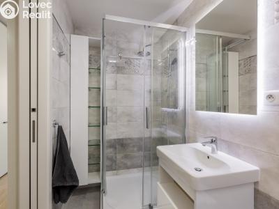 Rent apartment 2+KK Praha, Univerzitní č. 14