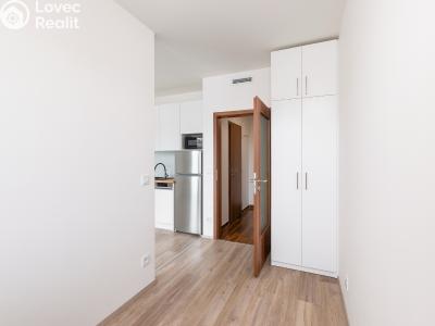 Оренда квартири 1+KK Praha, U továren č. 6