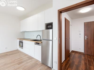 Оренда квартири 1+KK Praha, U továren č. 7