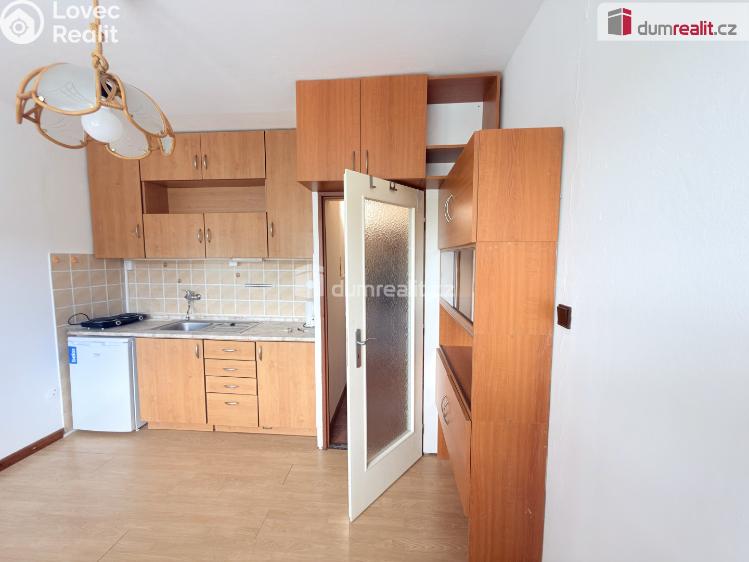 Pronájem bytu 1+KK Ústí nad Labem, Tolstého č. 1