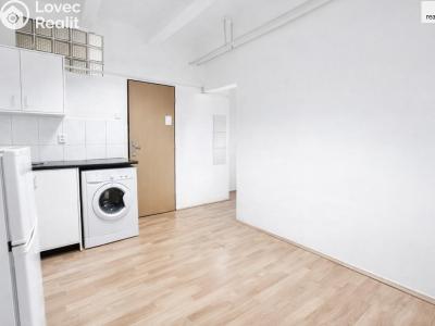 Sale apartment 1+1 Praha 10, Gruzínská č. 2