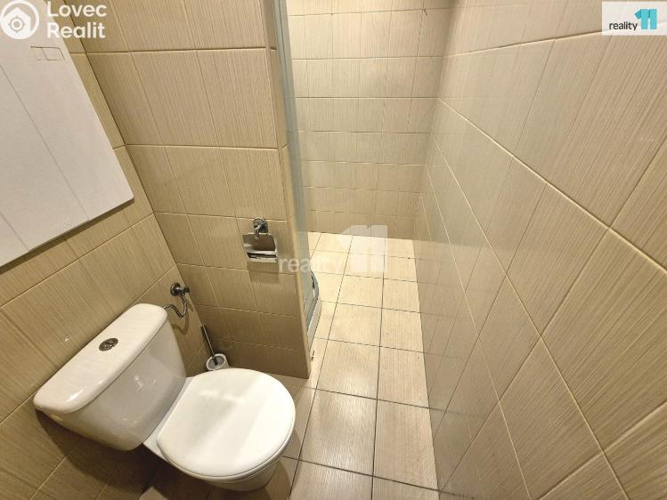 Pronájem bytu 2+1 Aš, Karlova č. 12
