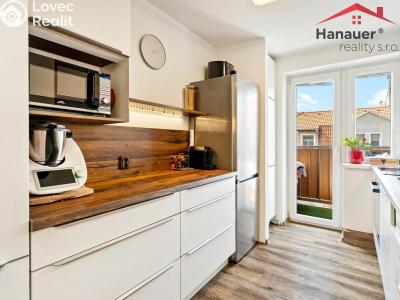 Sale apartment 3+1 Ústí nad Labem, Nedbalova č. 2