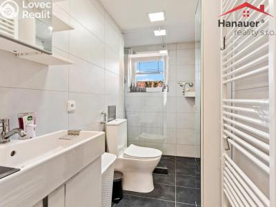 Sale apartment 3+1 Ústí nad Labem, Nedbalova č. 4