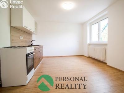 Pronájem bytu 1+1 Horní Slavkov, Poštovní č. 6
