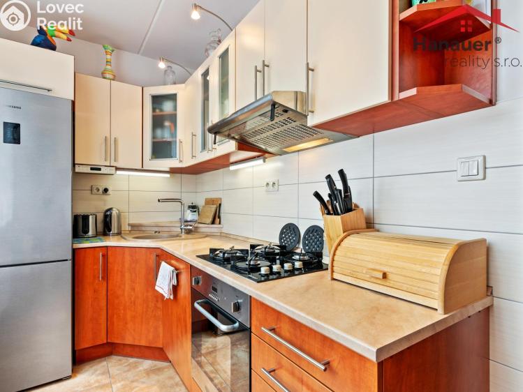 Sale apartment 2+1 Cheb, Družstevní 1512/15 č. 10