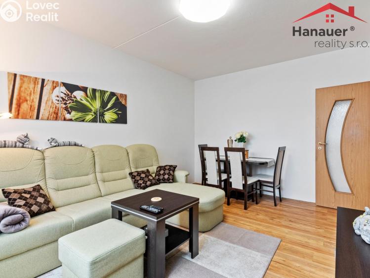 Sale apartment 2+1 Cheb, Družstevní 1512/15 č. 11