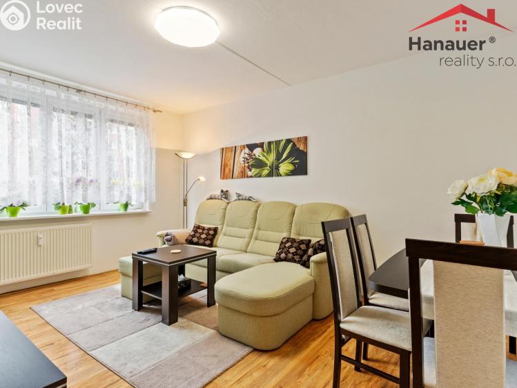 Sale apartment 2+1 Cheb, Družstevní 1512/15 č. 13