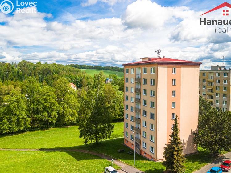 Sale apartment 2+1 Cheb, Družstevní 1512/15 č. 14