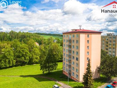 Prodej bytu 2+1 Cheb, Družstevní č. 13