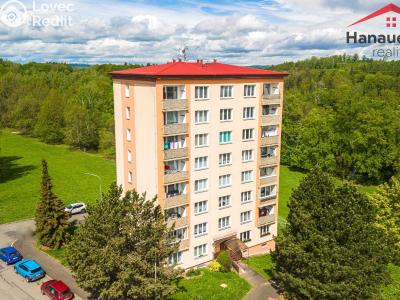 Prodej bytu 2+1 Cheb, Družstevní č. 17