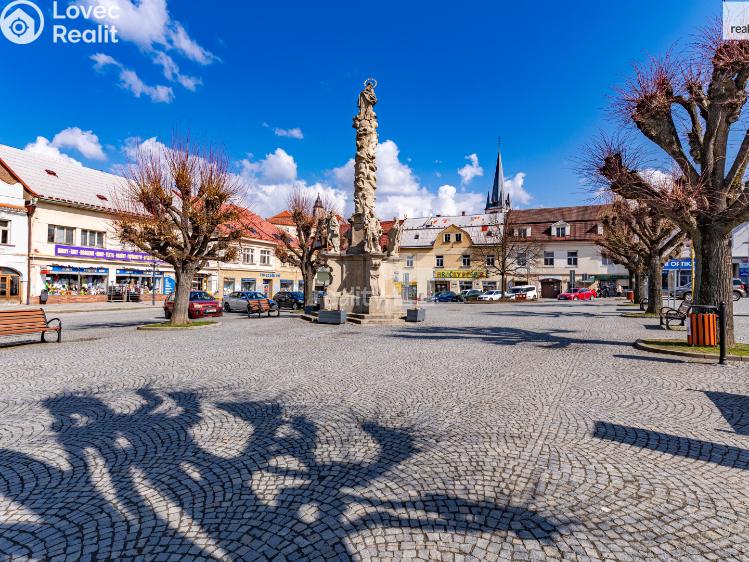 Sale apartment 2+1 Ledeč nad Sázavou, Na Sibiři č. 21