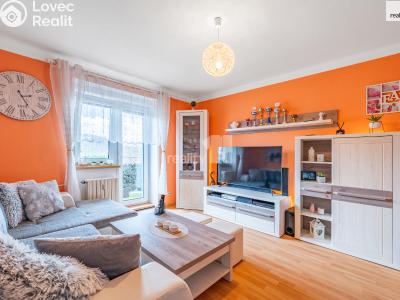 Sale apartment 2+1 Ledeč nad Sázavou, Na Sibiři č. 2