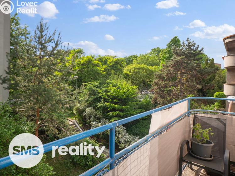Sale apartment 1+1 Brno, Kladivova 697/2 č. 5