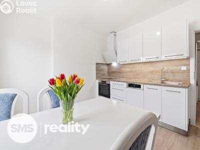 Sale apartment 1+1 Brno, Kladivova č. 1