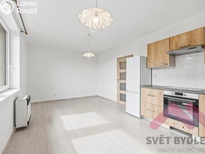 Pronájem bytu 1+KK Praha, Pokorného č. 4