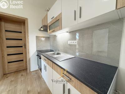 Оренда квартири 2+1 Olomouc, Vídeňská č. 10
