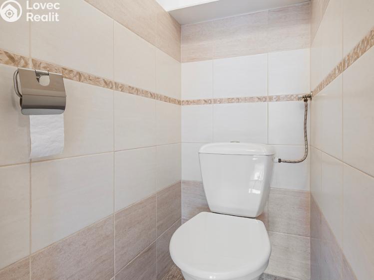 Pronájem bytu 3+KK Chotěboř č. 10