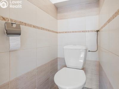 Pronájem bytu 3+KK Chotěboř č. 10