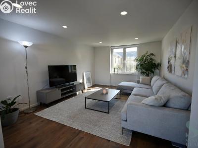 Sale apartment 2+KK Brodek u Konice č. 2
