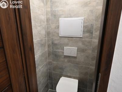 Sale apartment 2+KK Brodek u Konice č. 6