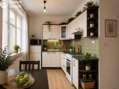 Оренда квартири 1+1 Ostrava, Veleslavínova č. 7