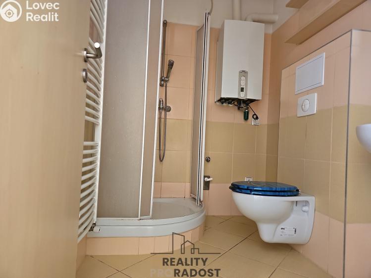 Rent apartment 1+KK Hodonín, Příční č. 4