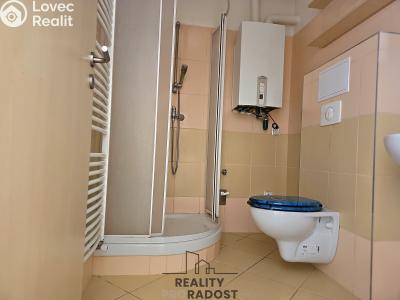 Rent apartment 1+KK Hodonín, Příční č. 4