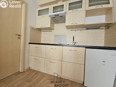 Rent apartment 1+KK Hodonín, Příční č. 6