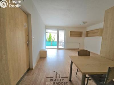 Rent apartment 1+KK Hodonín, Příční č. 8